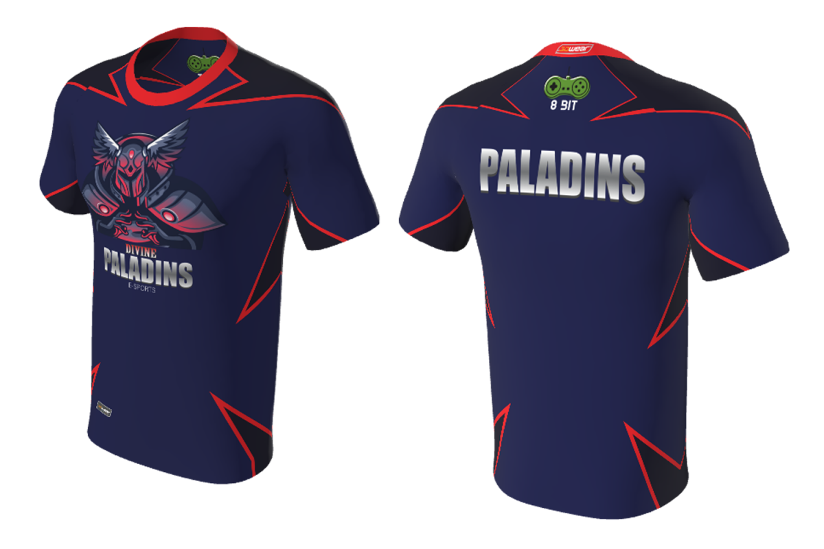 FNF -  Esports, Indigo Divin Paladin Team, Sublimated Tshirt