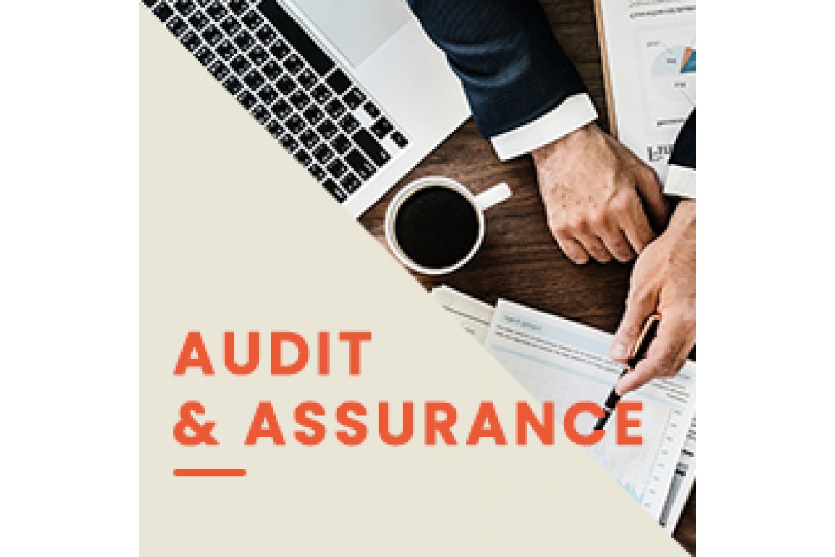 HPR  will do Audit and Assurance