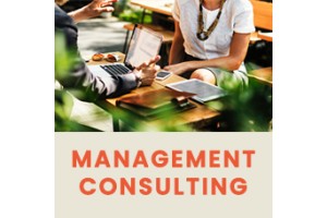 HPR  will do Management Consulting